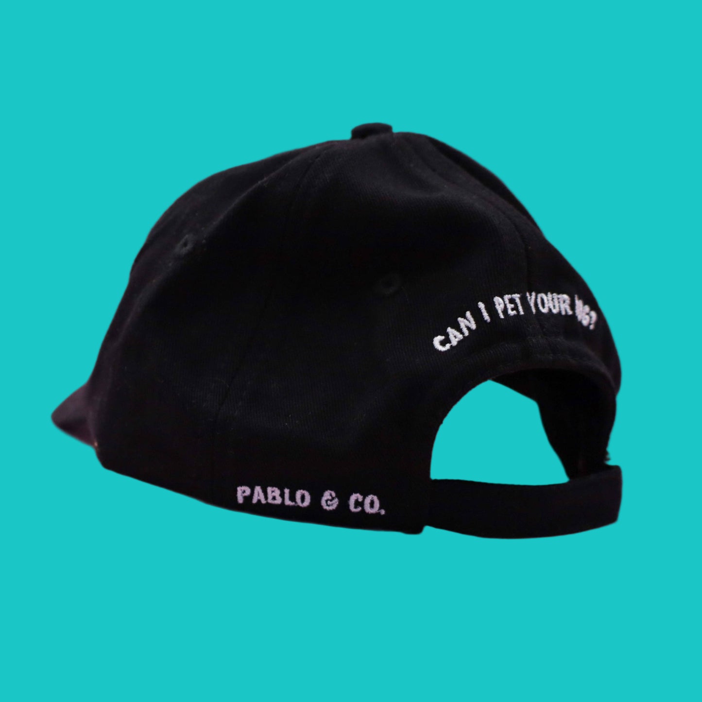 Dog Person Baseball Cap